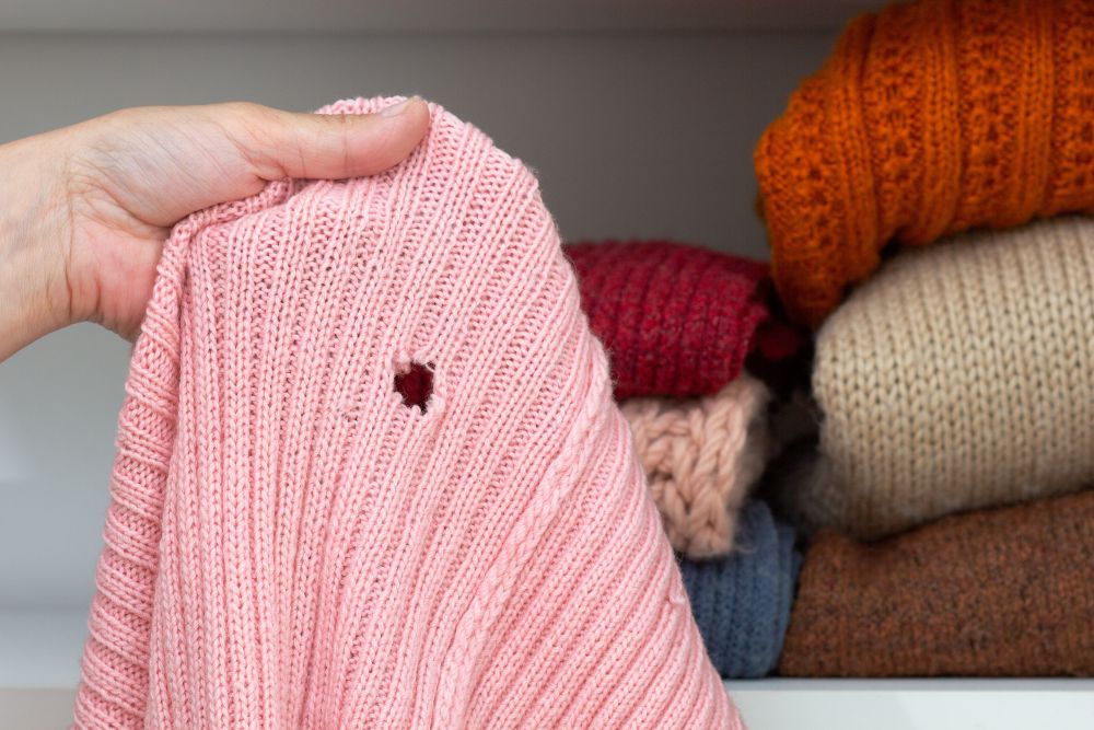 a sweater with a hole in it from a moth due to improper storage